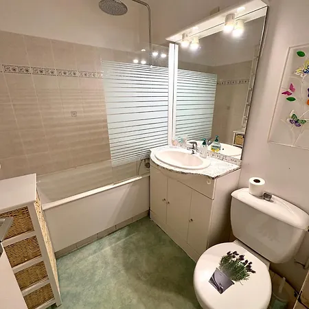 T2 Cyprien Appartement *